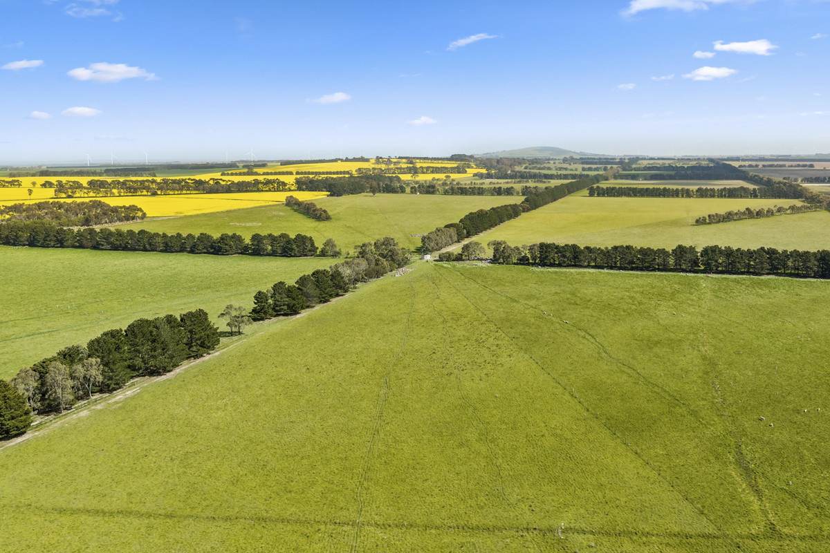 Armytage Road, Winchelsea For Sale by Farmbuy.com - image 9