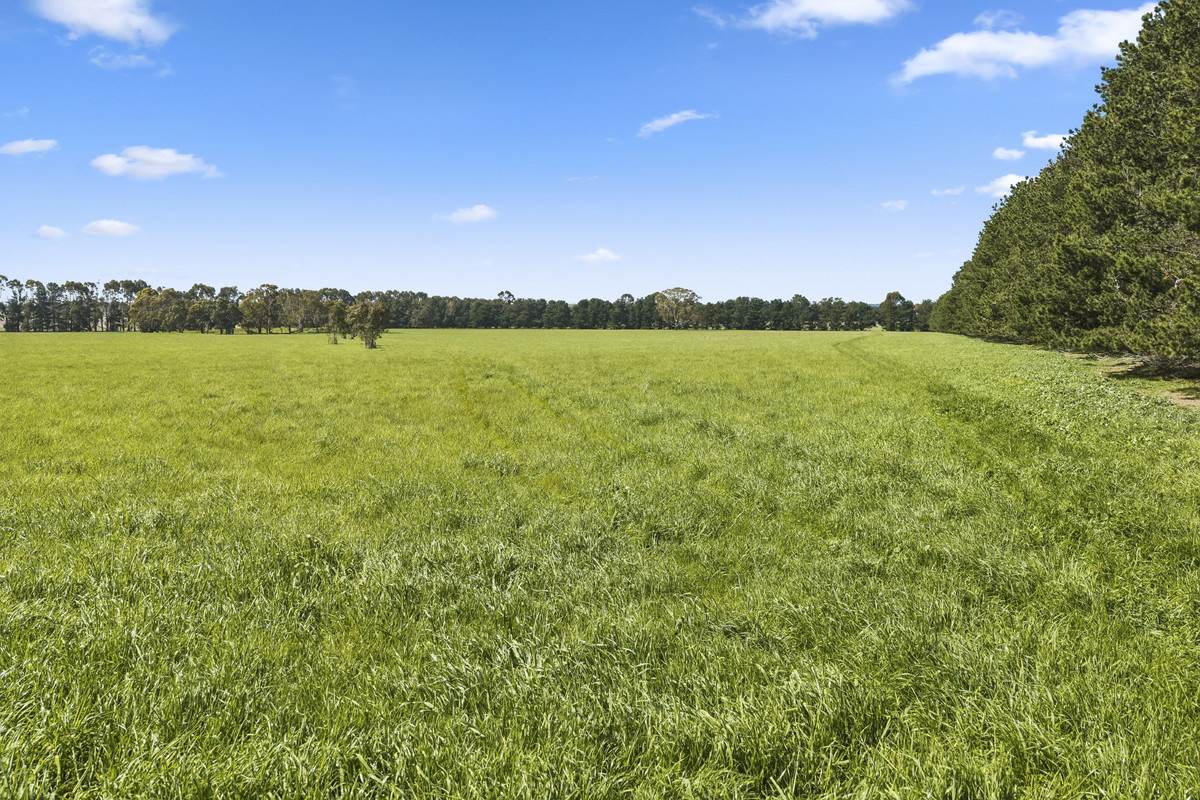 Armytage Road, Winchelsea For Sale by Farmbuy.com - image 6