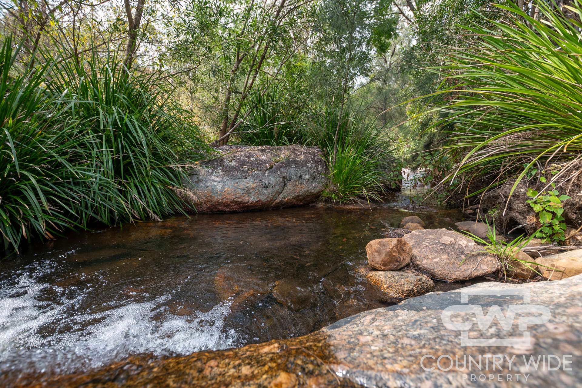3501C Rocky River Road, Rocky River For Sale by Farmbuy.com - image 8