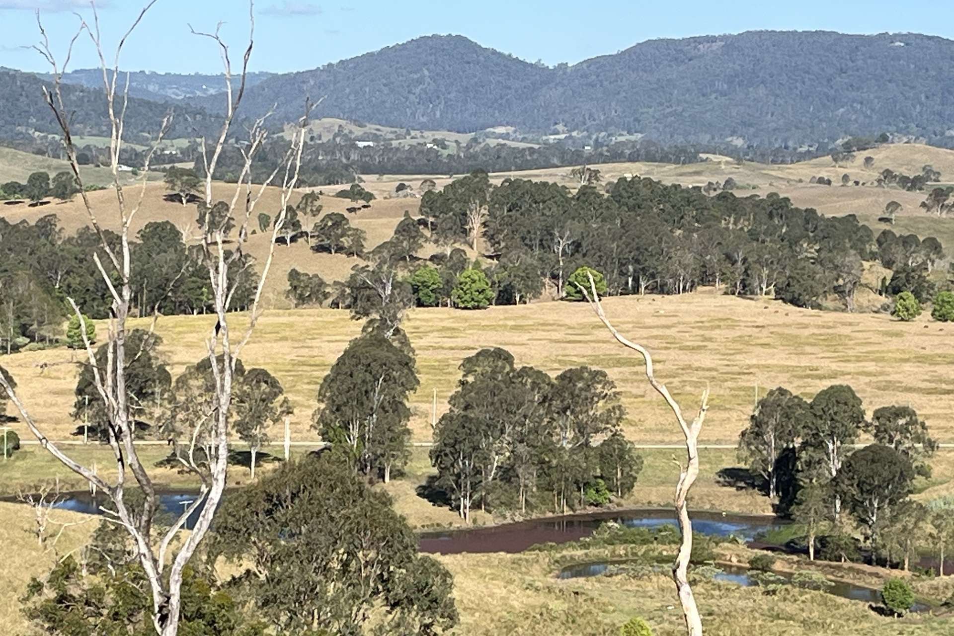 12/27 Scrubby Creek Road, Conondale For Sale by Farmbuy.com - image 4
