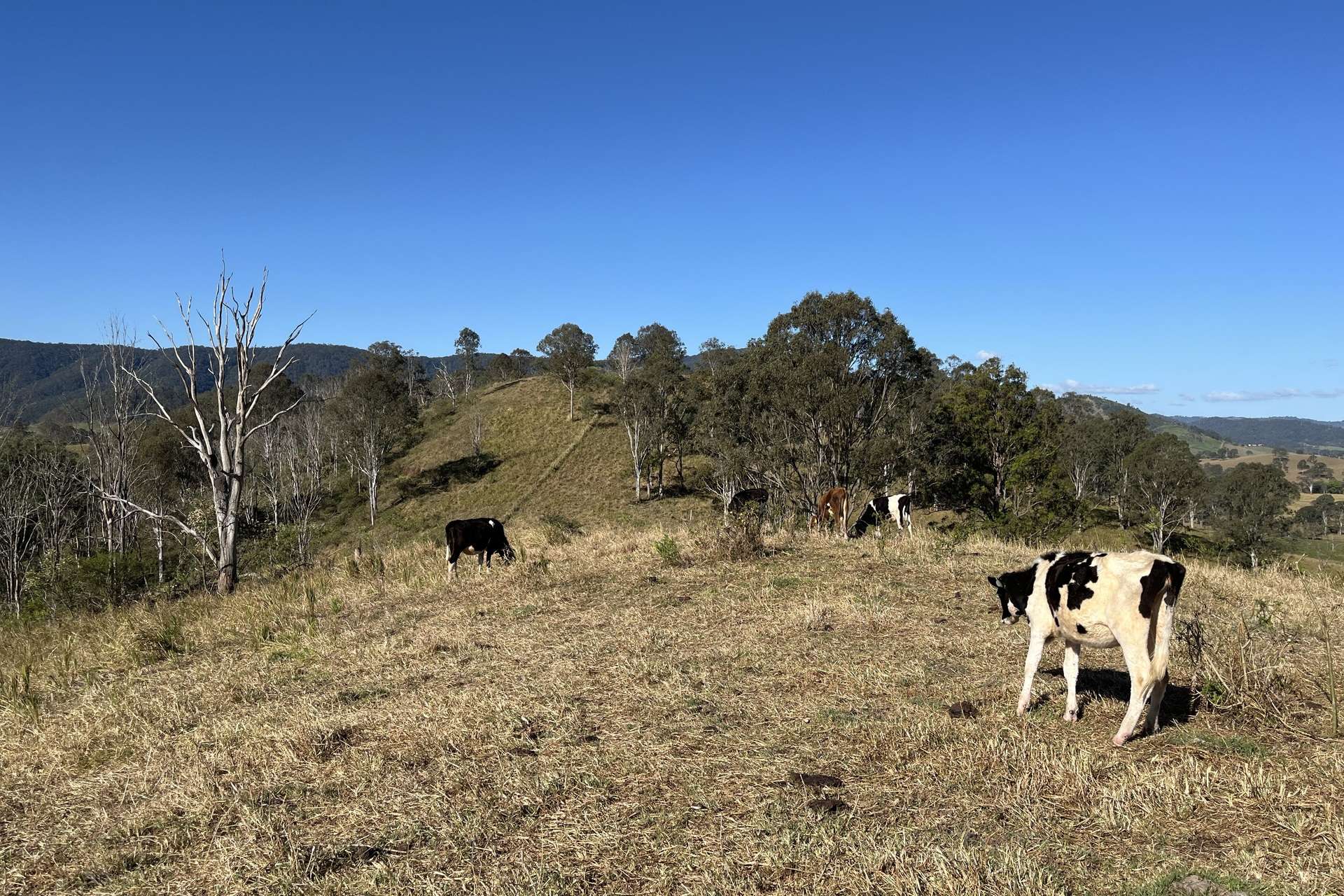 12/27 Scrubby Creek Road, Conondale For Sale by Farmbuy.com - image 5