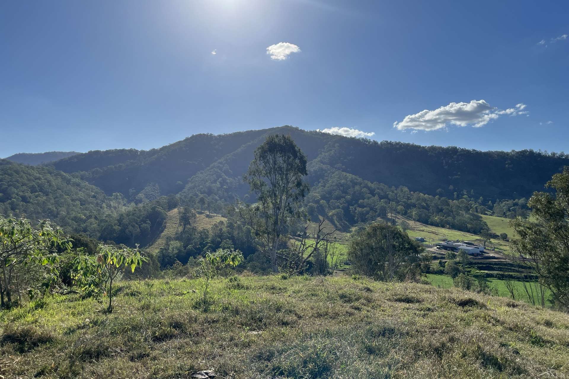 12/27 Scrubby Creek Road, Conondale For Sale by Farmbuy.com - image 11