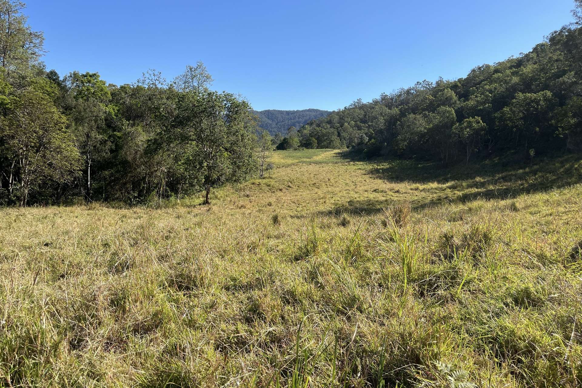 2/27 Scrubby Creek Road, Conondale For Sale by Farmbuy.com - image 5