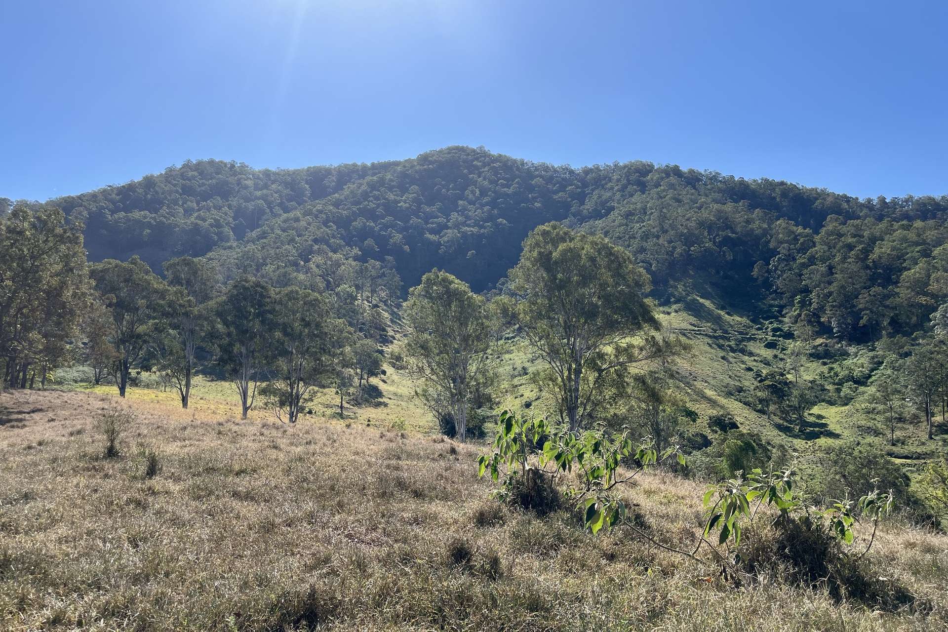 2/27 Scrubby Creek Road, Conondale For Sale by Farmbuy.com - image 3