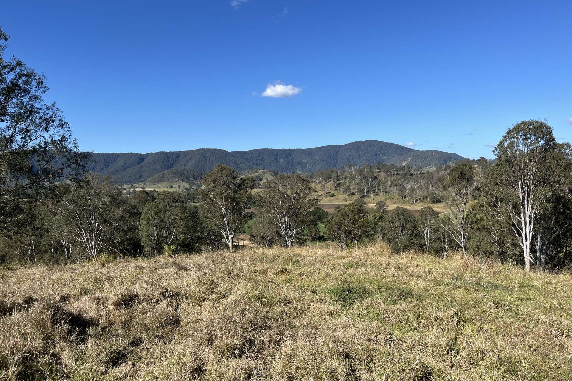 2/27 Scrubby Creek Road, Conondale For Sale by Farmbuy.com - image 4