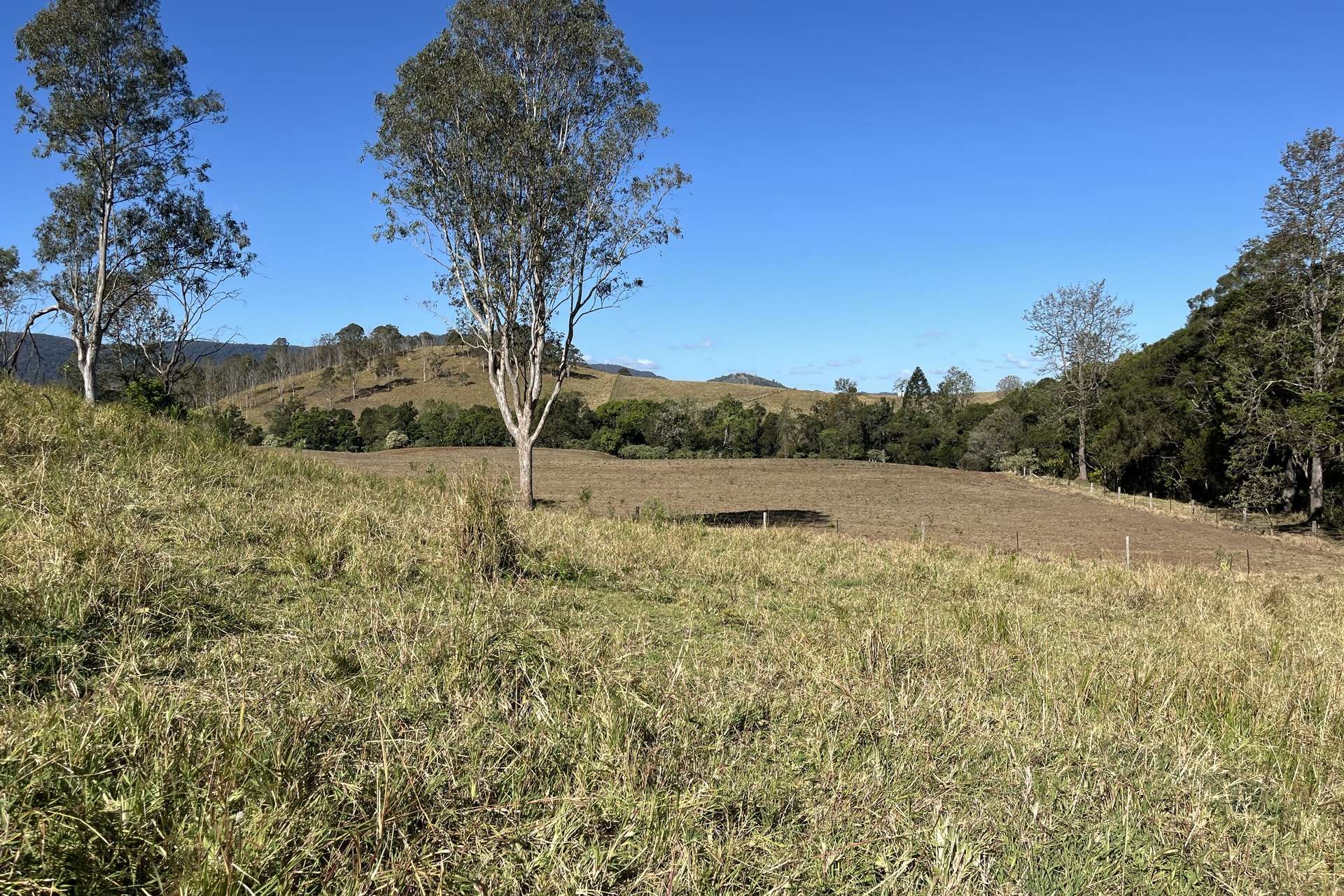 2/27 Scrubby Creek Road, Conondale For Sale by Farmbuy.com - image 6