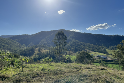 Farm For Sale - QLD - Conondale - 4552 - Play Man from Snowy River 
