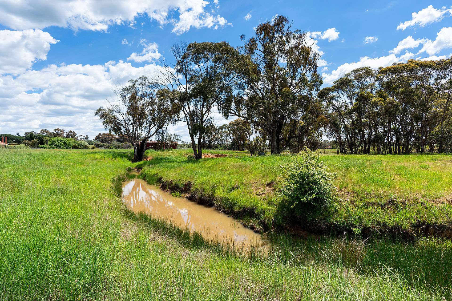 Lot 2, 2001 Creswick-Newstead Road, Campbelltown For Sale by Farmbuy.com - image 9