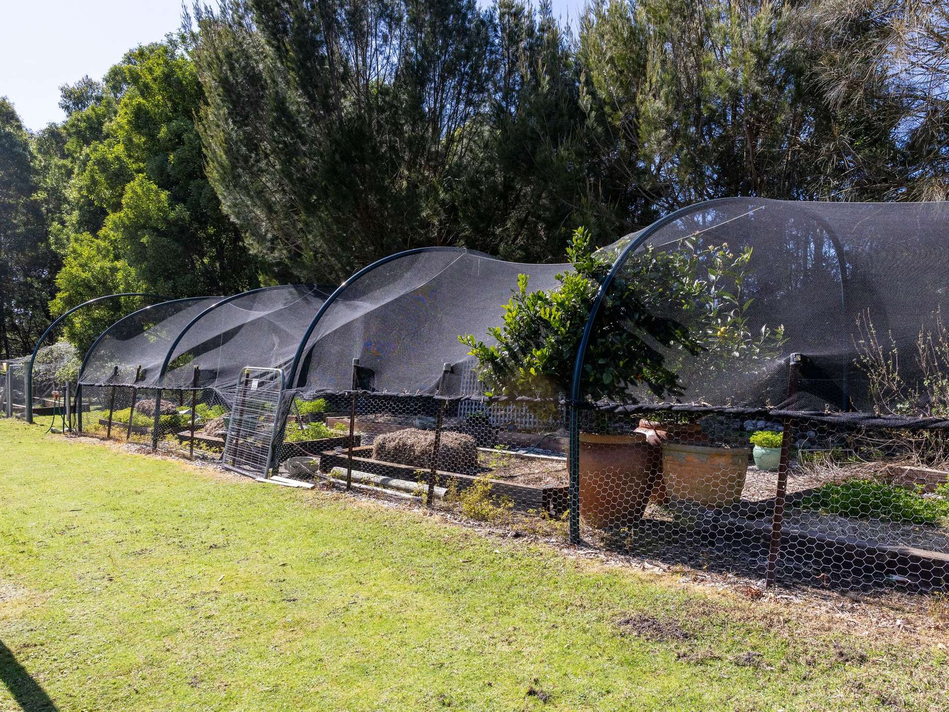 24 Ozanne Drive, Gawler For Sale by Farmbuy.com - image 31