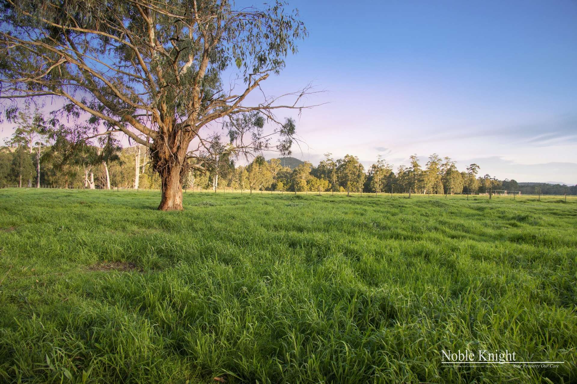 798 Steels Creek Road, Steels Creek For Sale by Farmbuy.com - image 7