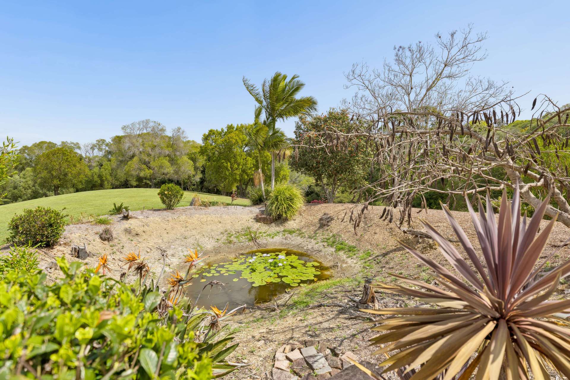85 Camphor Road, Pinbarren For Sale by Farmbuy.com - image 28