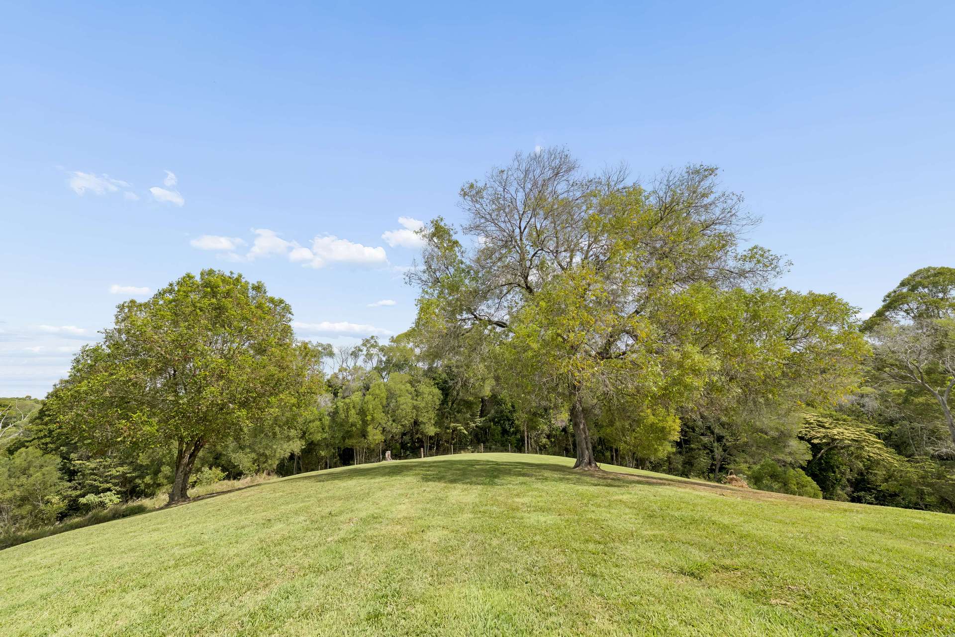 85 Camphor Road, Pinbarren For Sale by Farmbuy.com - image 27