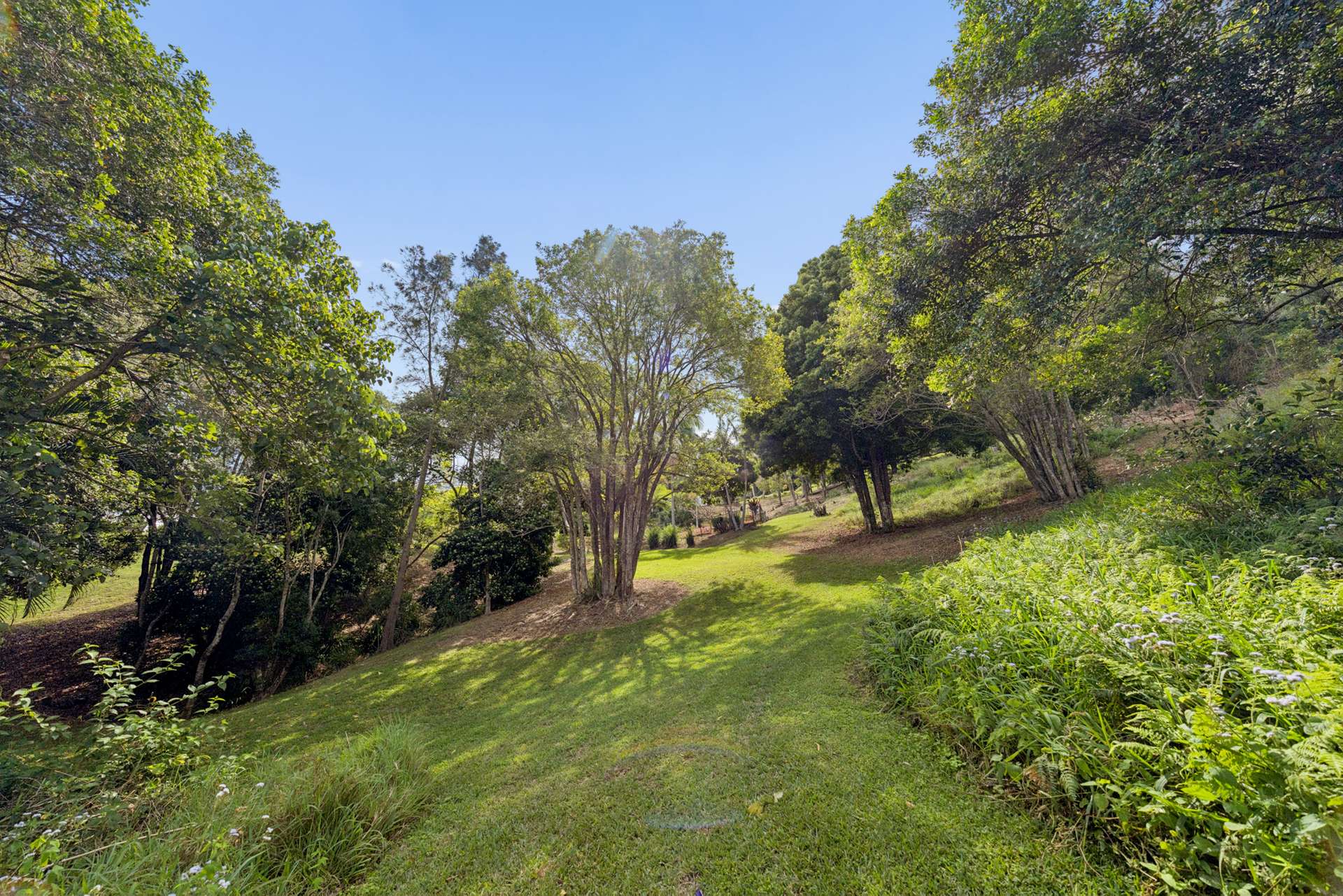 85 Camphor Road, Pinbarren For Sale by Farmbuy.com - image 31