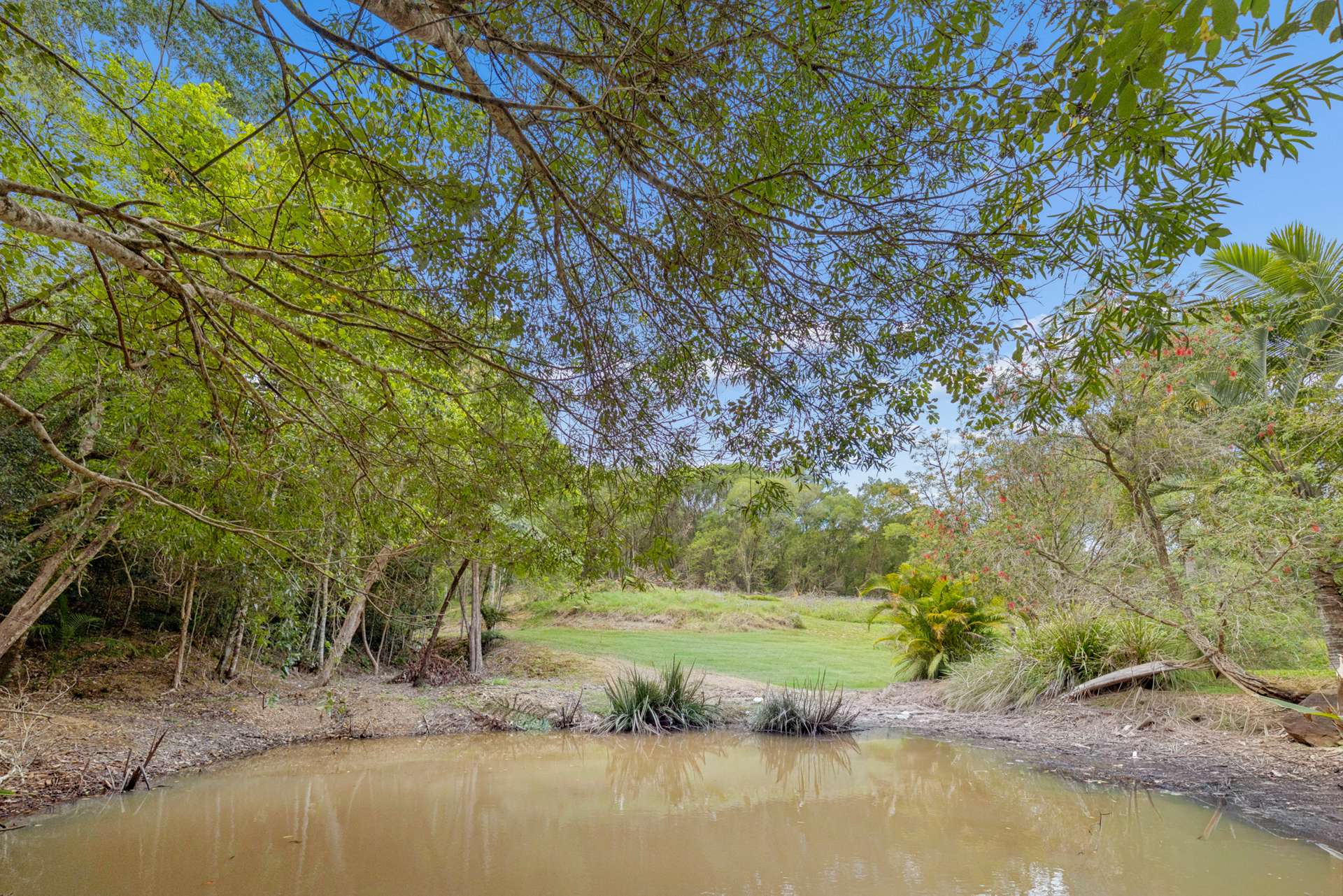 85 Camphor Road, Pinbarren For Sale by Farmbuy.com - image 30