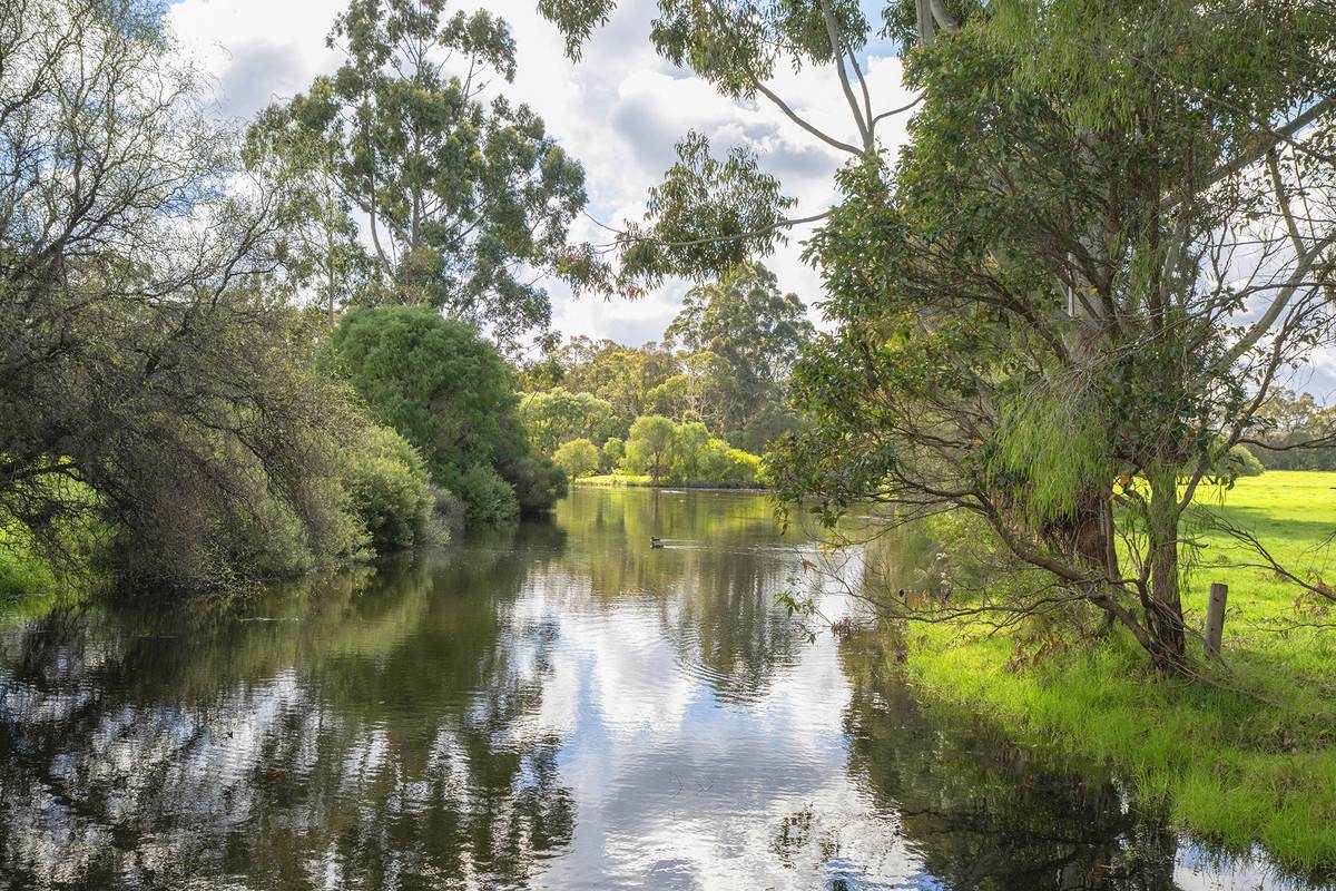 400 Castle Road, Nillup For Sale by Farmbuy.com - image 5