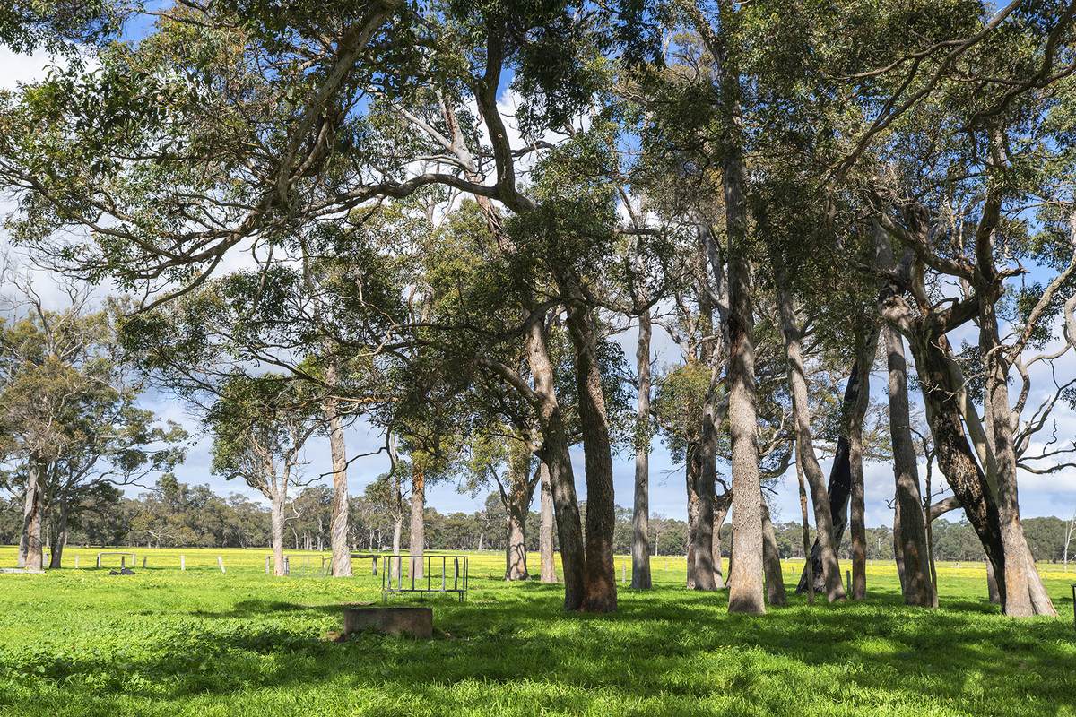 400 Castle Road, Nillup For Sale by Farmbuy.com - image 15