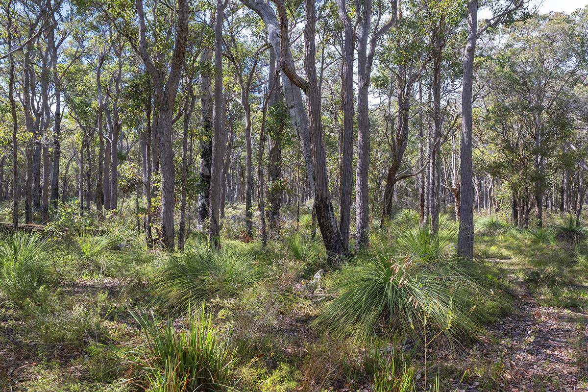 400 Castle Road, Nillup For Sale by Farmbuy.com - image 6