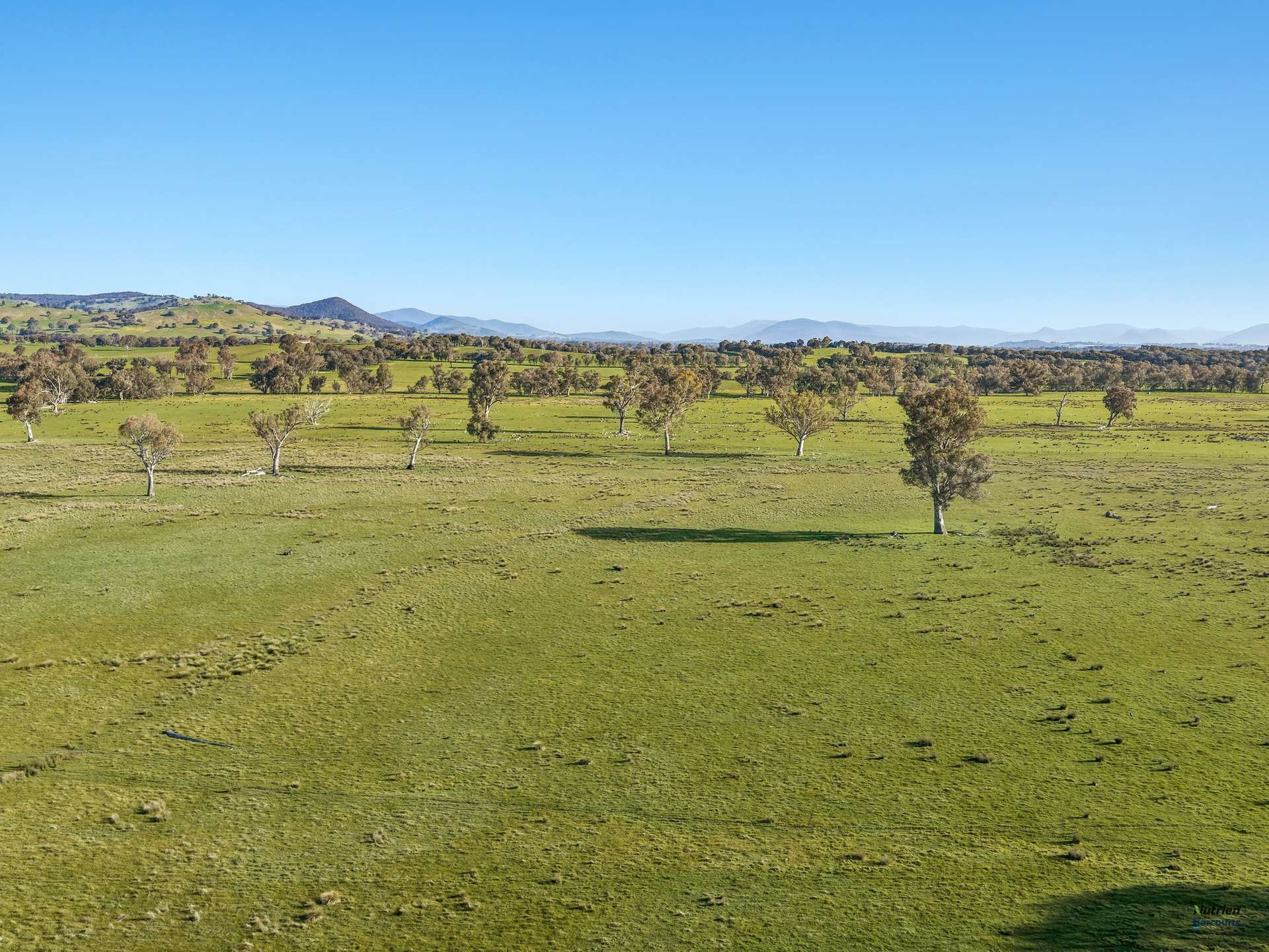 Lot 36 Hartridge Rd, Molyullah For Sale by Farmbuy.com - image 5