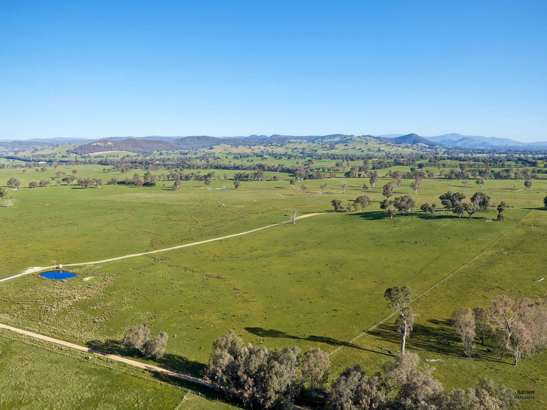Lot 36 Hartridge Rd, Molyullah For Sale by Farmbuy.com - image 4