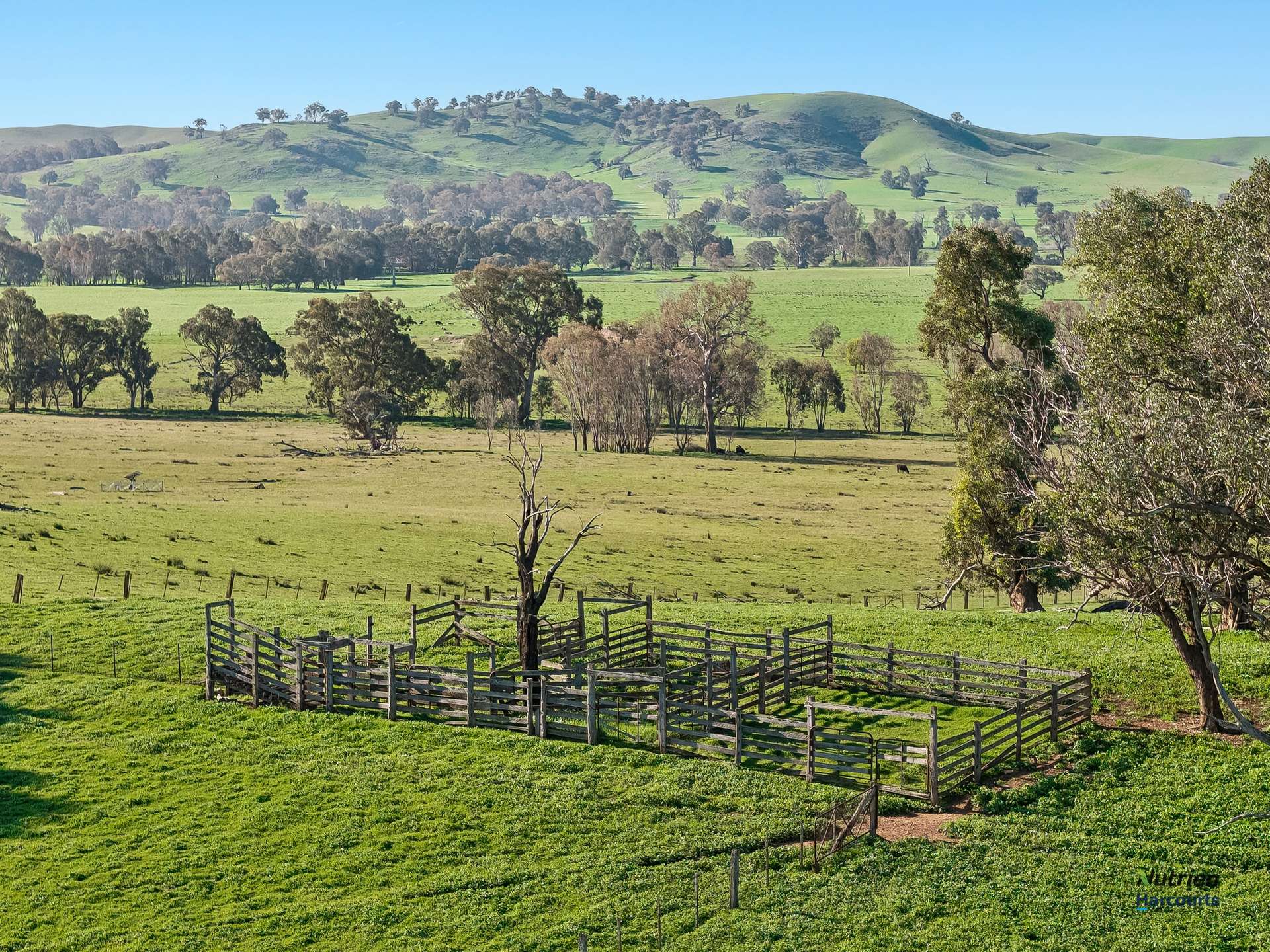 Lot 36 Hartridge Rd, Molyullah For Sale by Farmbuy.com - image 3
