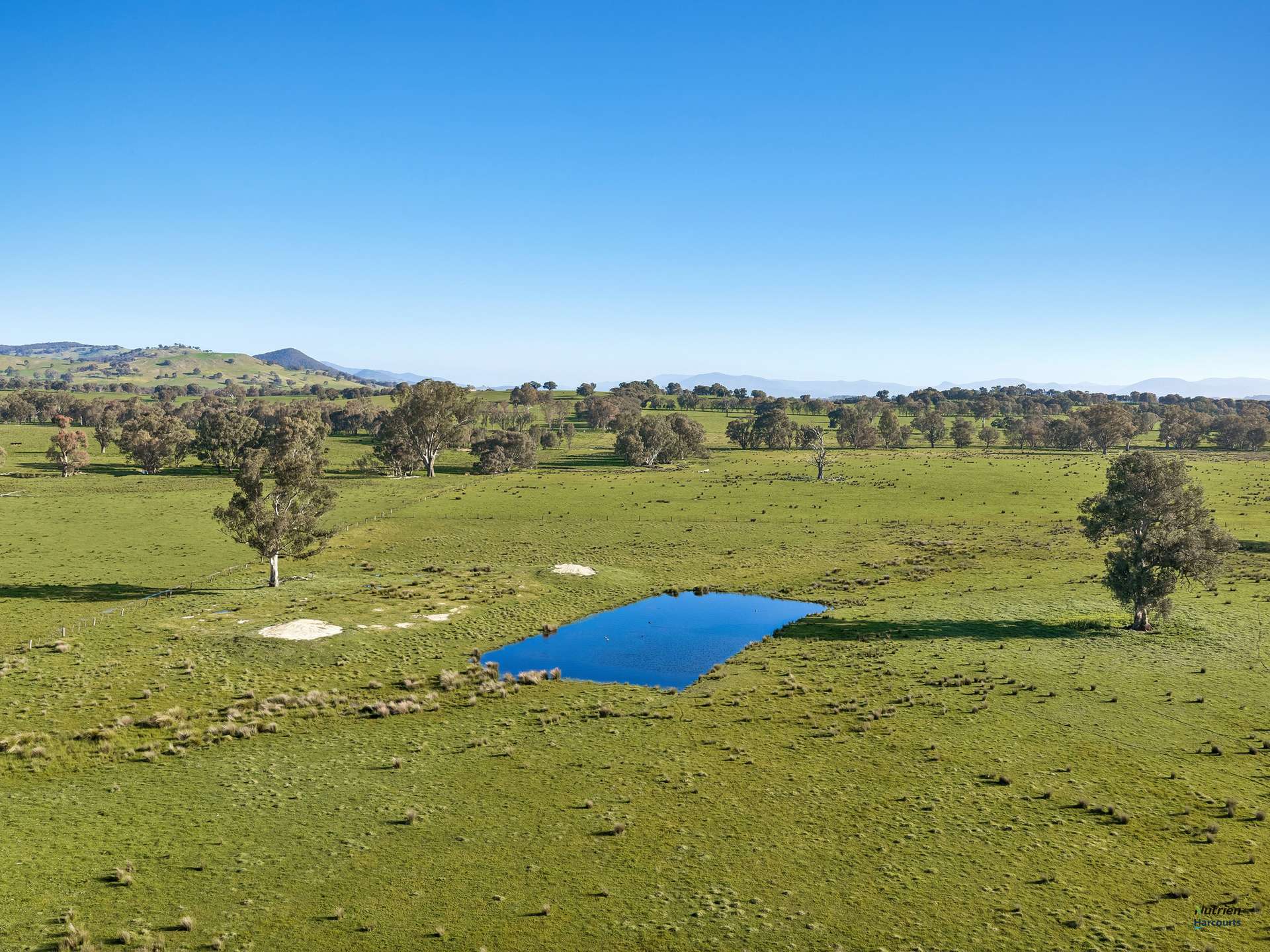 Lot 36 Hartridge Rd, Molyullah For Sale by Farmbuy.com - image 6