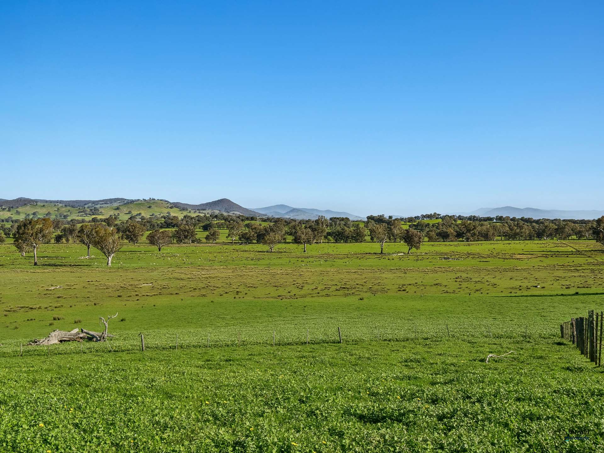Lot 36 Hartridge Rd, Molyullah For Sale by Farmbuy.com - image 18