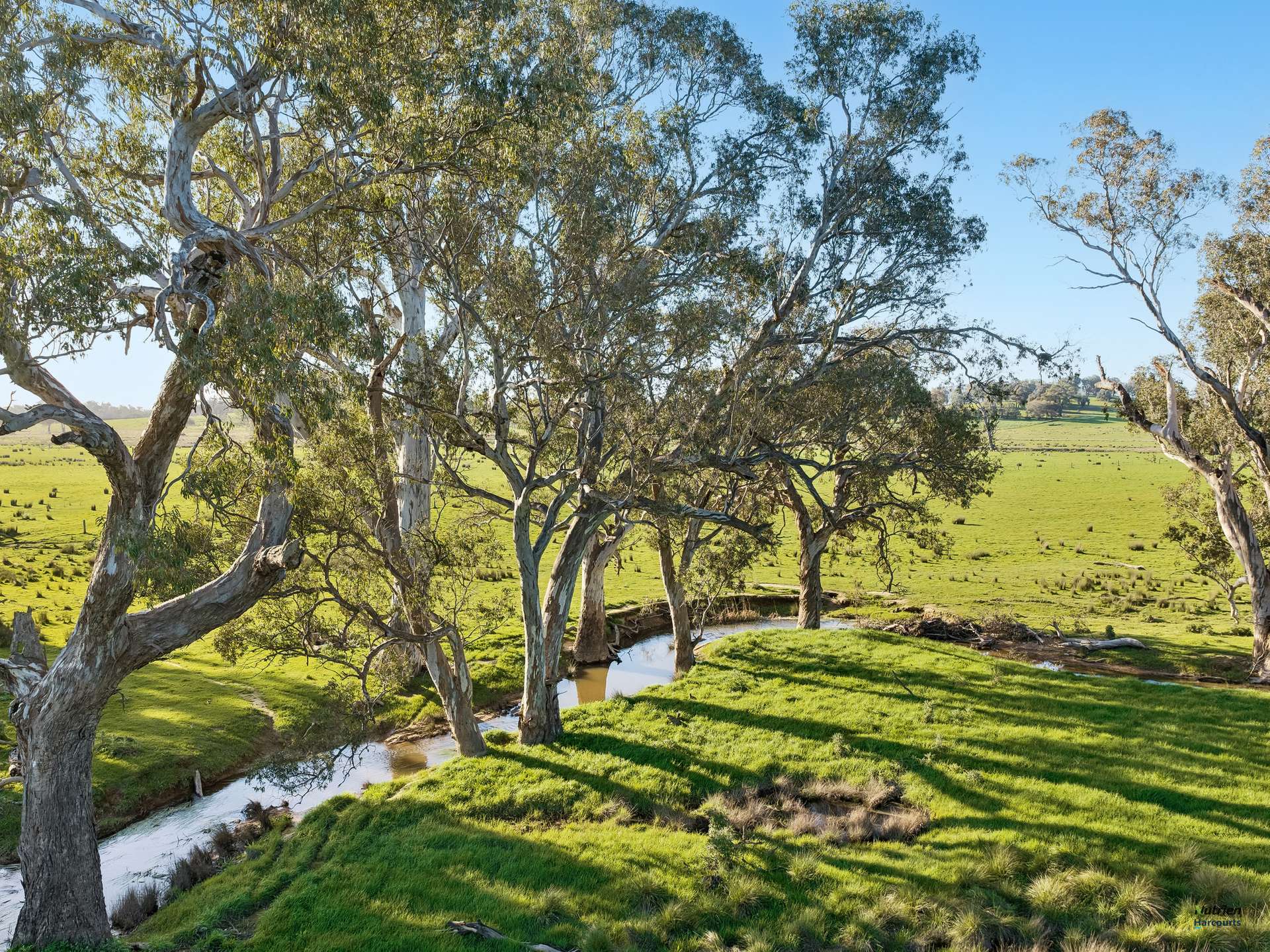 Lot 36 Hartridge Rd, Molyullah For Sale by Farmbuy.com - image 10