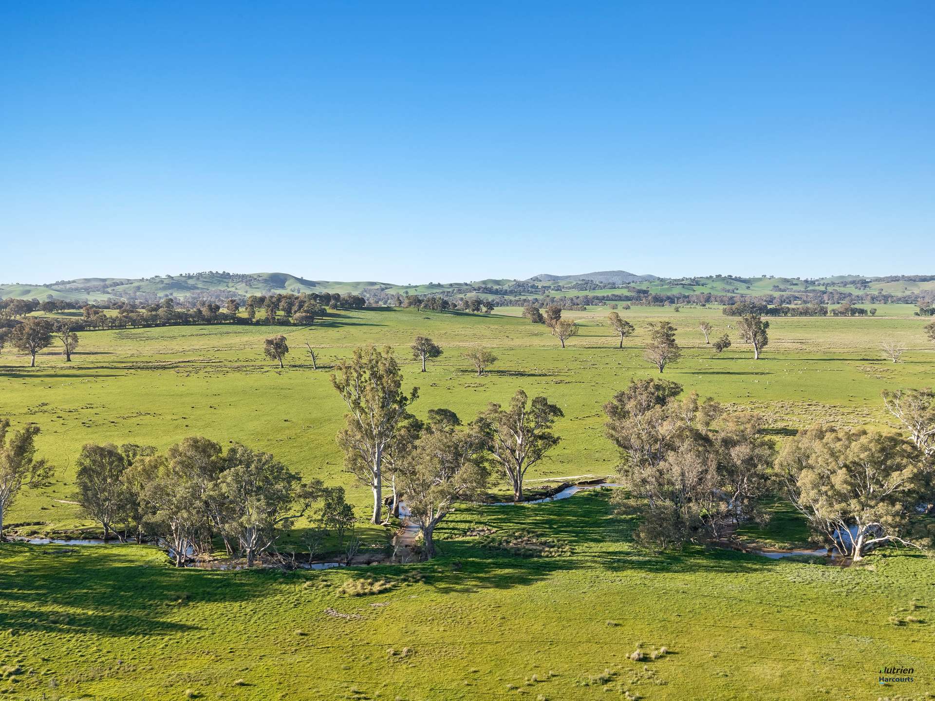 Lot 36 Hartridge Rd, Molyullah For Sale by Farmbuy.com - image 8
