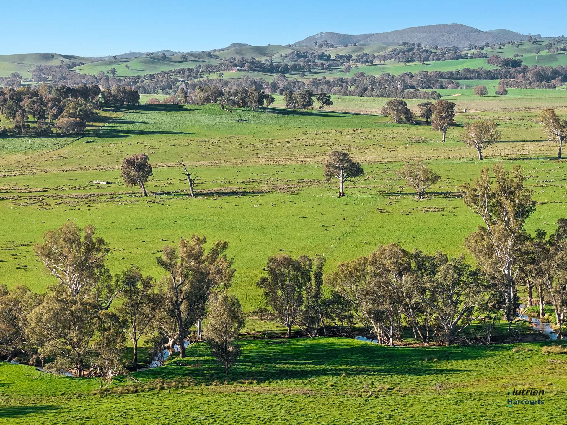 Lot 36 Hartridge Rd, Molyullah For Sale by Farmbuy.com - image 7