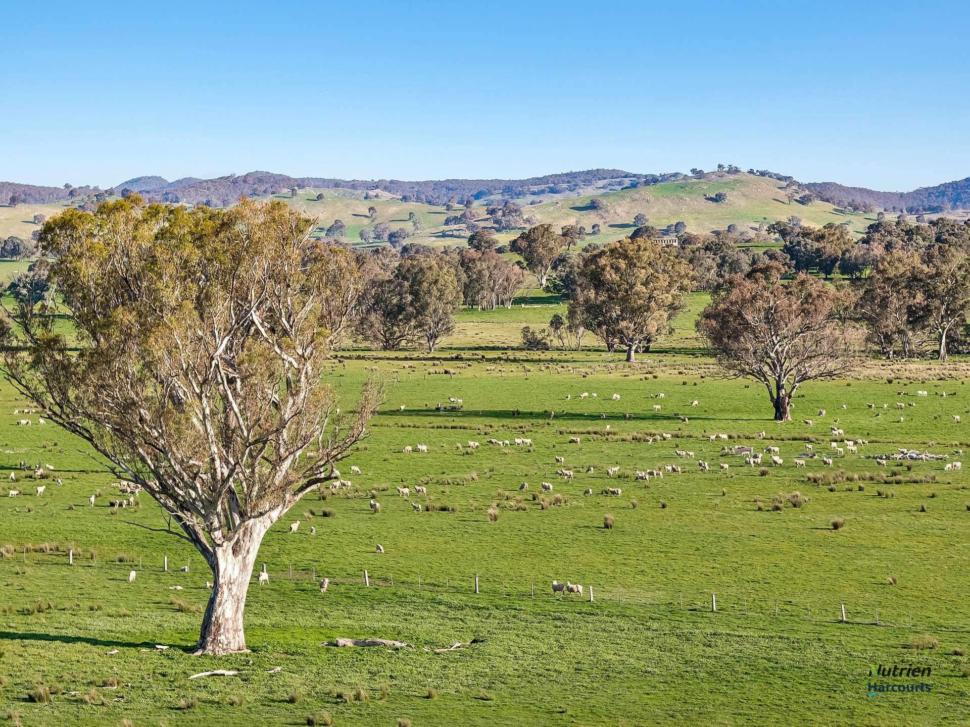 Lot 36 Hartridge Rd, Molyullah For Sale by Farmbuy.com - image 14
