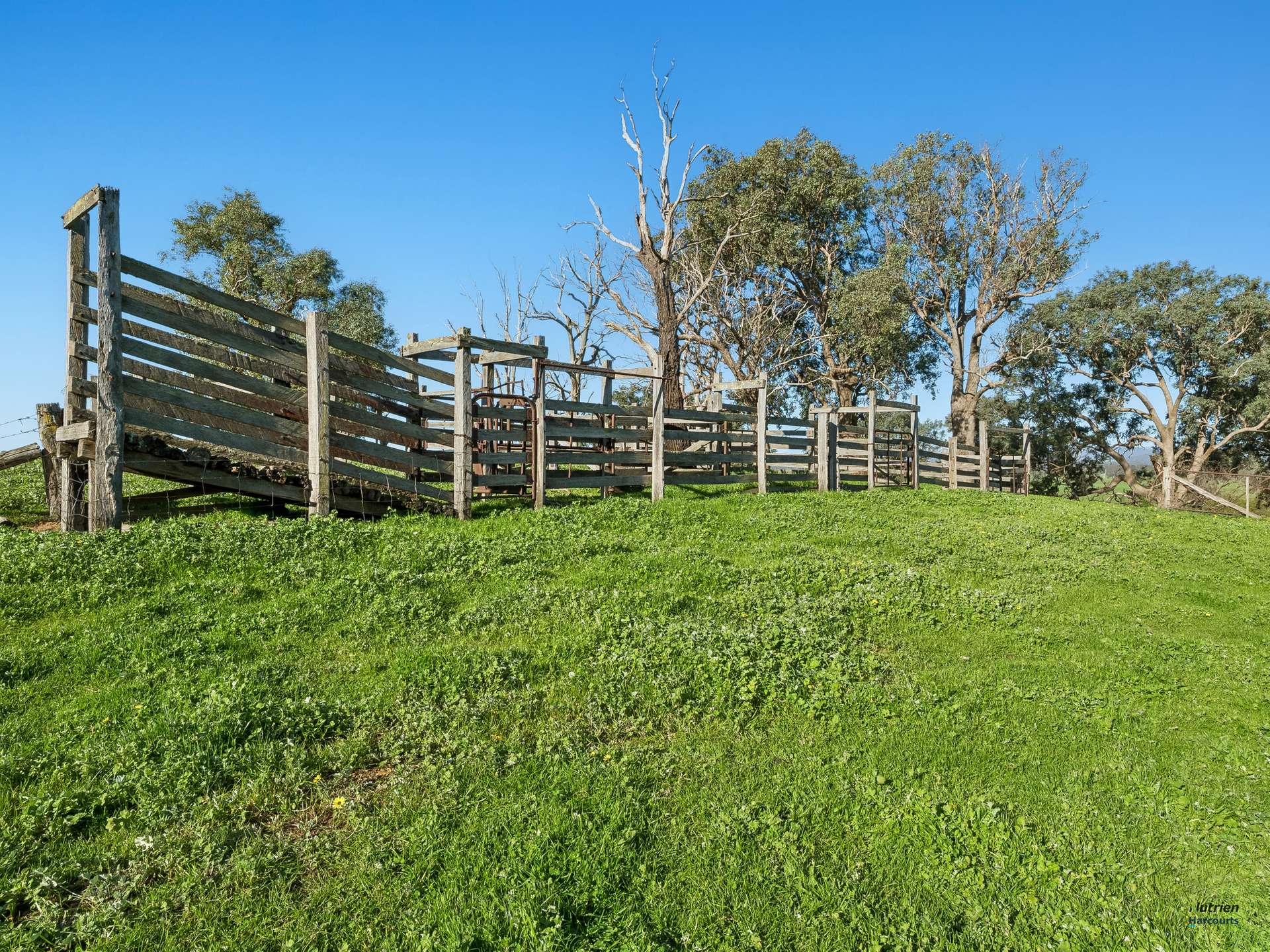 Lot 36 Hartridge Rd, Molyullah For Sale by Farmbuy.com - image 15