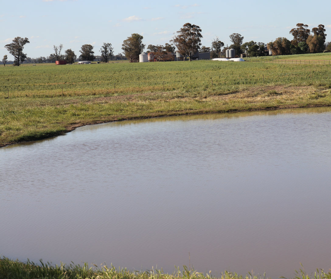 578 Shannahans Road, Forbes For Sale by Farmbuy.com - image 20