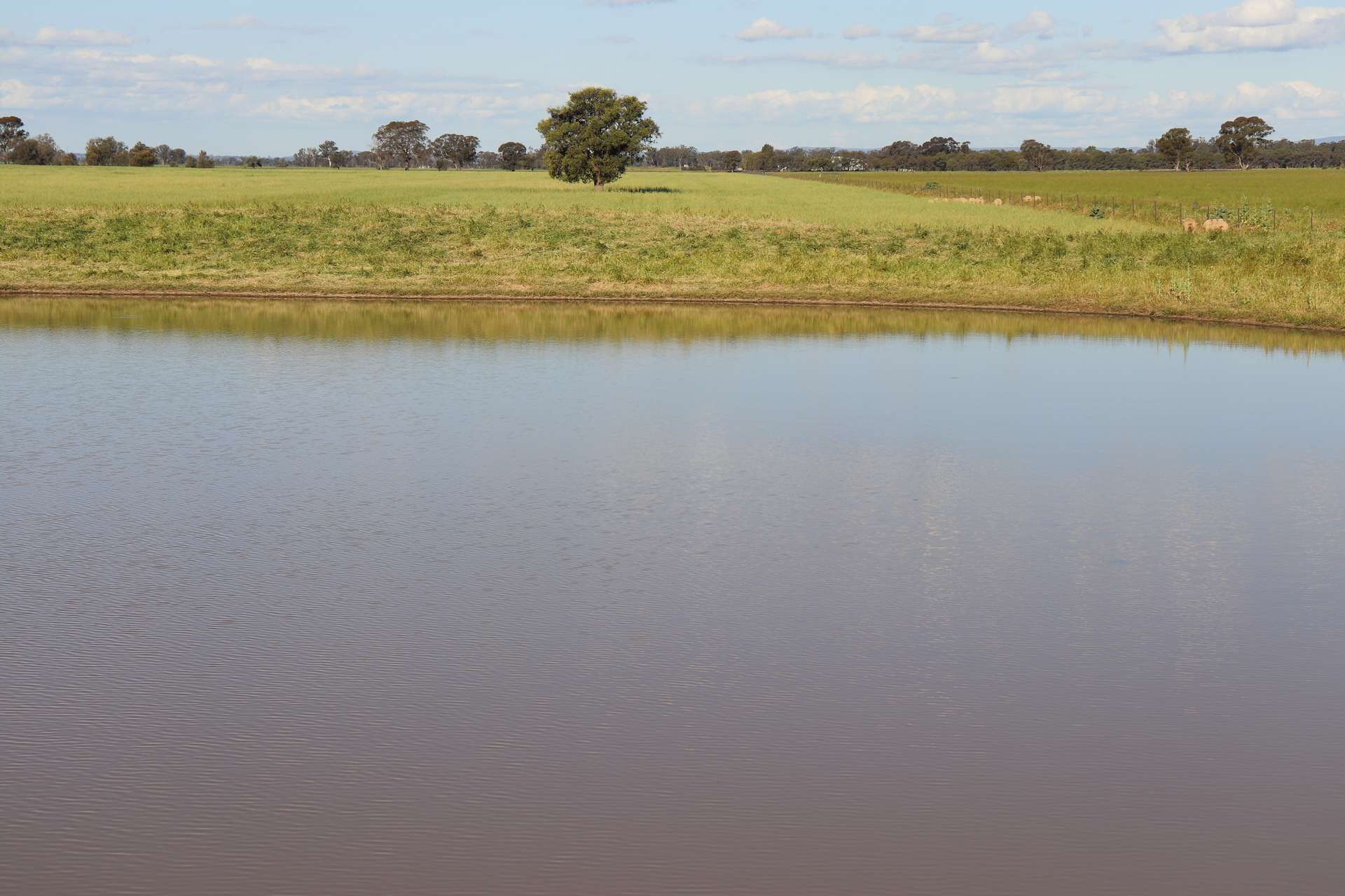 578 Shannahans Road, Forbes For Sale by Farmbuy.com - image 25