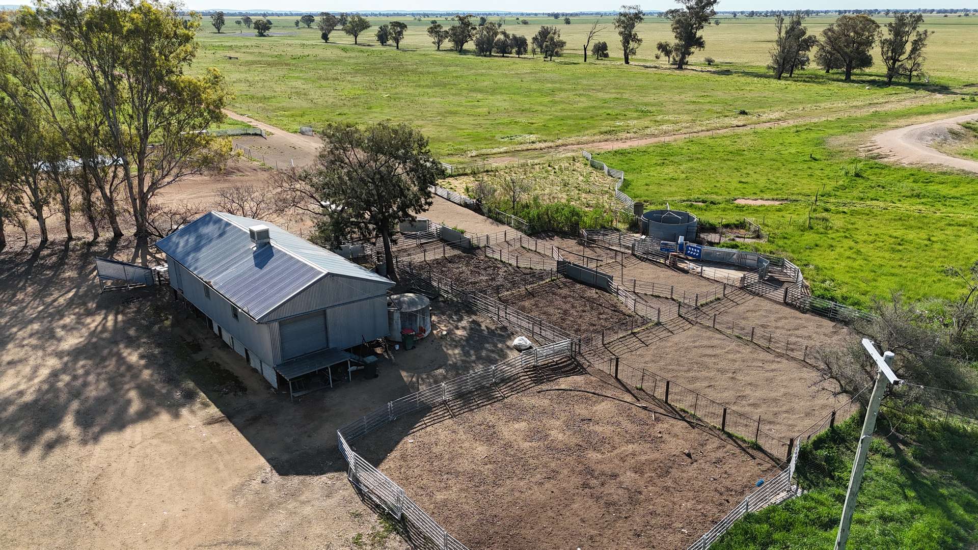 578 Shannahans Road, Forbes For Sale by Farmbuy.com - image 11