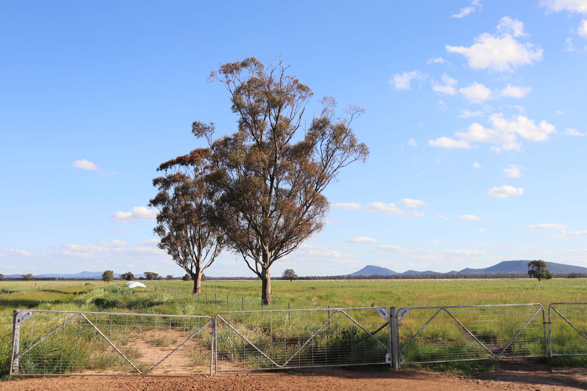 578 Shannahans Road, Forbes For Sale by Farmbuy.com - image 33