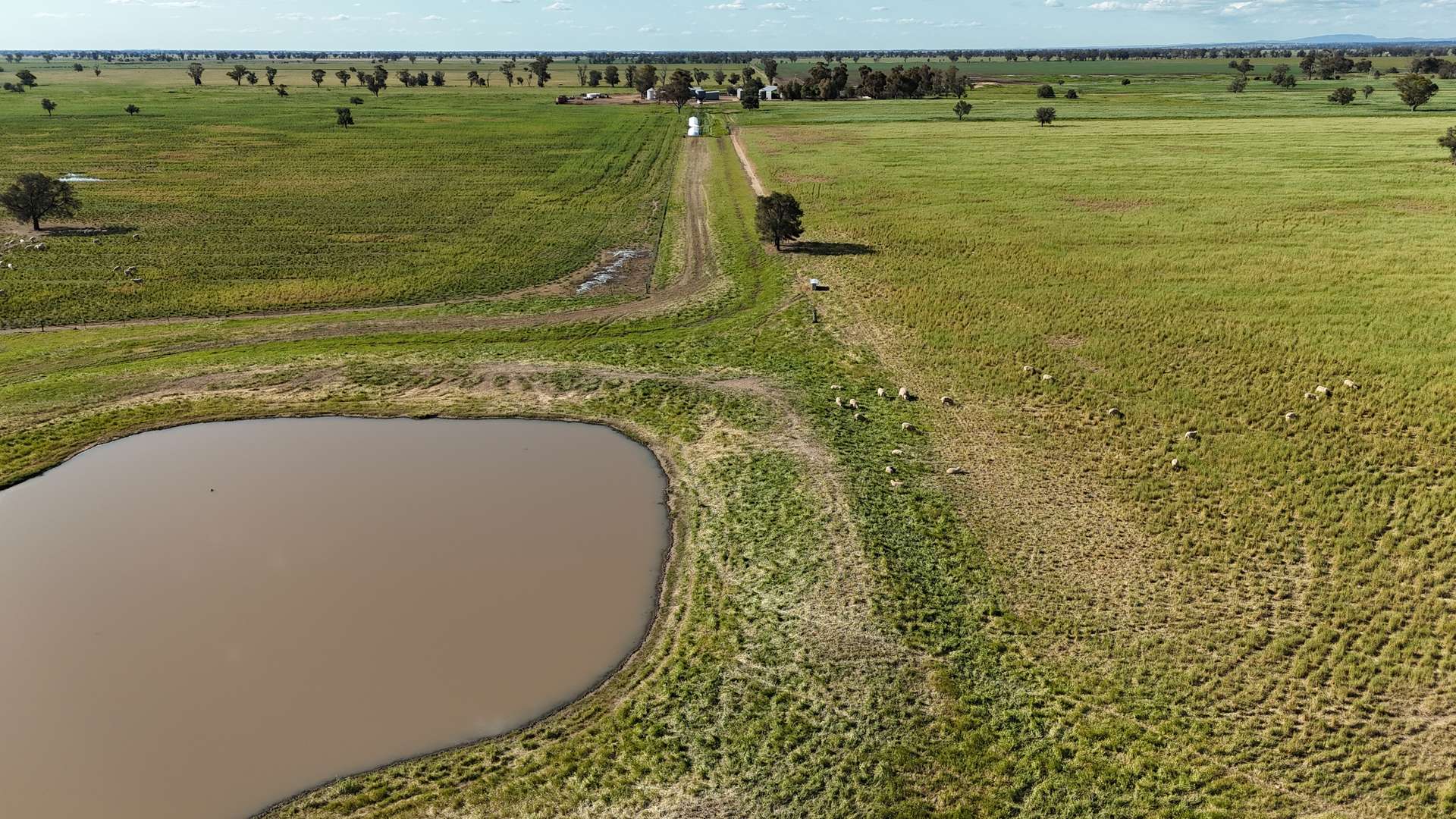 578 Shannahans Road, Forbes For Sale by Farmbuy.com - image 14