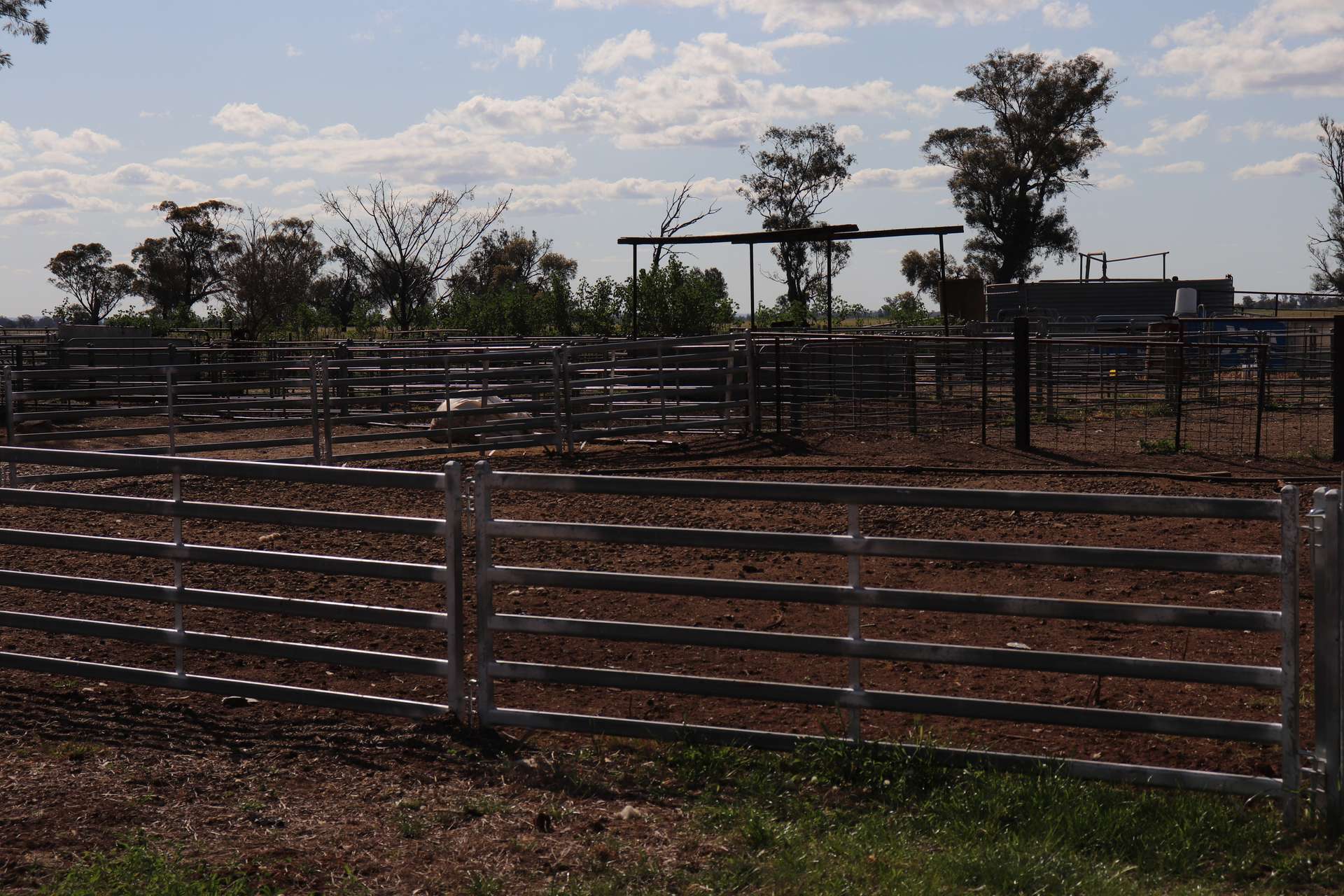 578 Shannahans Road, Forbes For Sale by Farmbuy.com - image 23