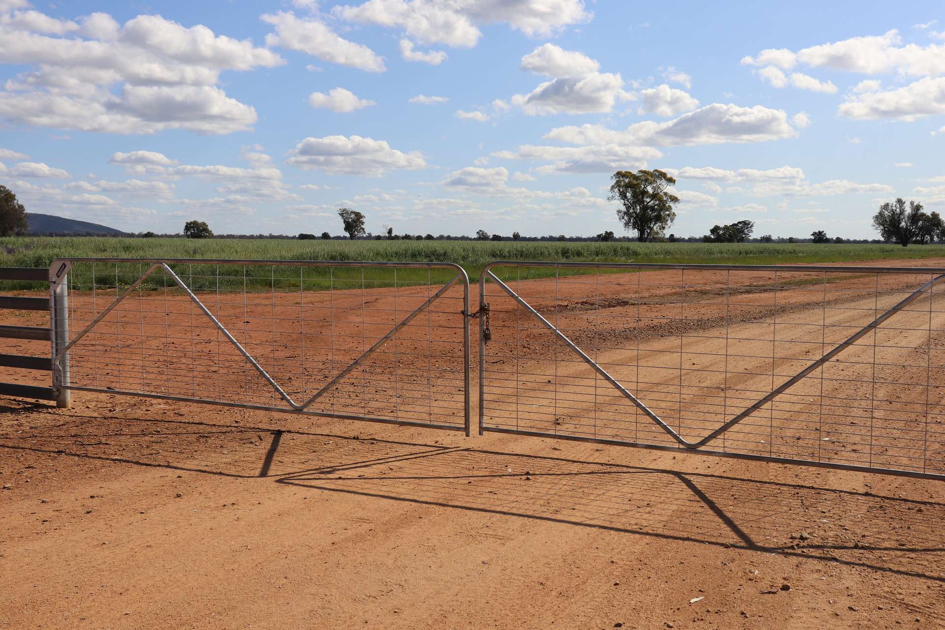 578 Shannahans Road, Forbes For Sale by Farmbuy.com - image 16