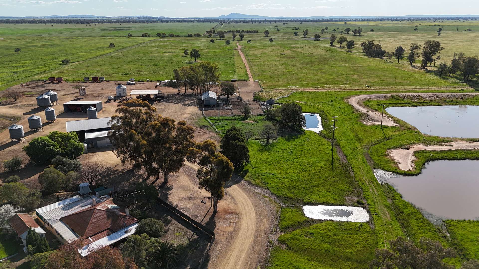 578 Shannahans Road, Forbes For Sale by Farmbuy.com - image 8