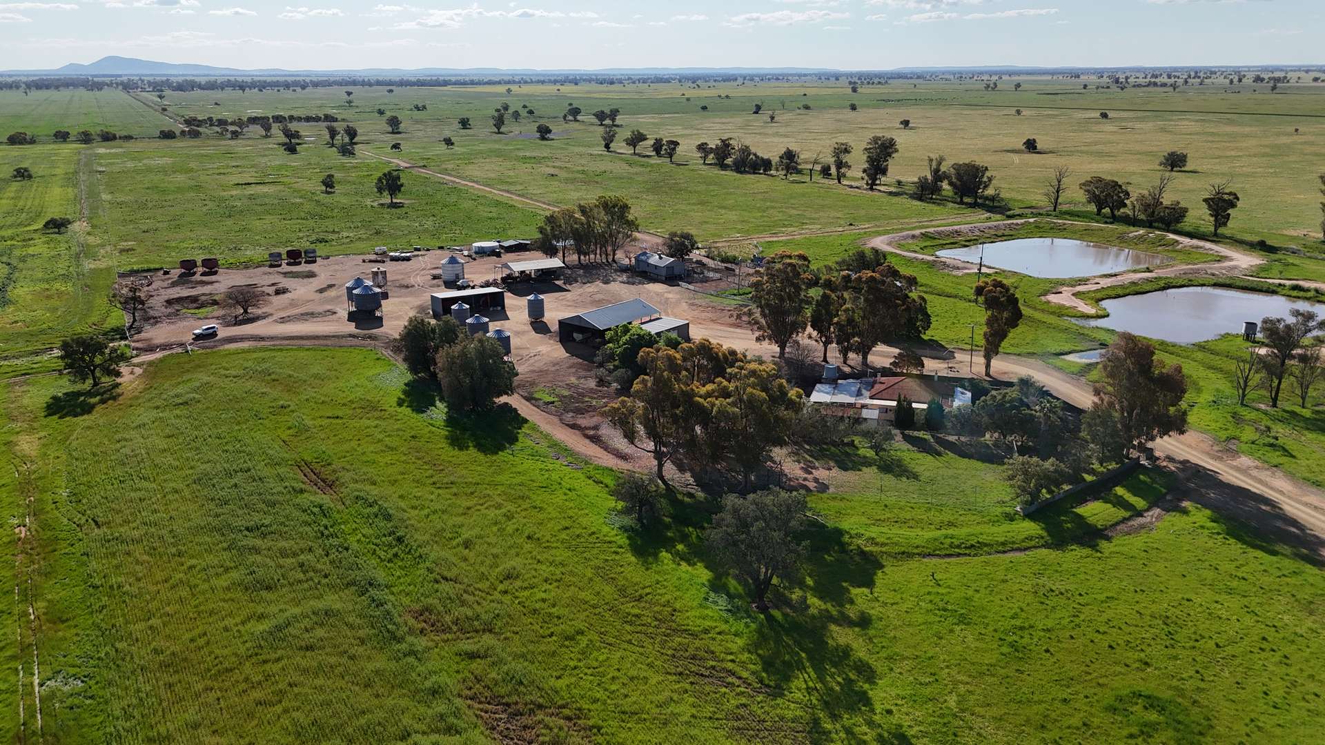 578 Shannahans Road, Forbes For Sale by Farmbuy.com - image 19