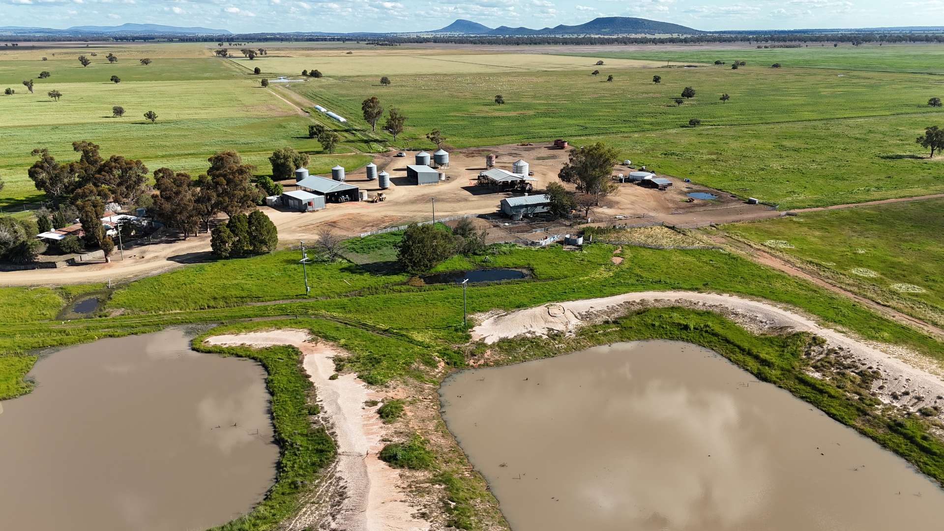 578 Shannahans Road, Forbes For Sale by Farmbuy.com - image 9