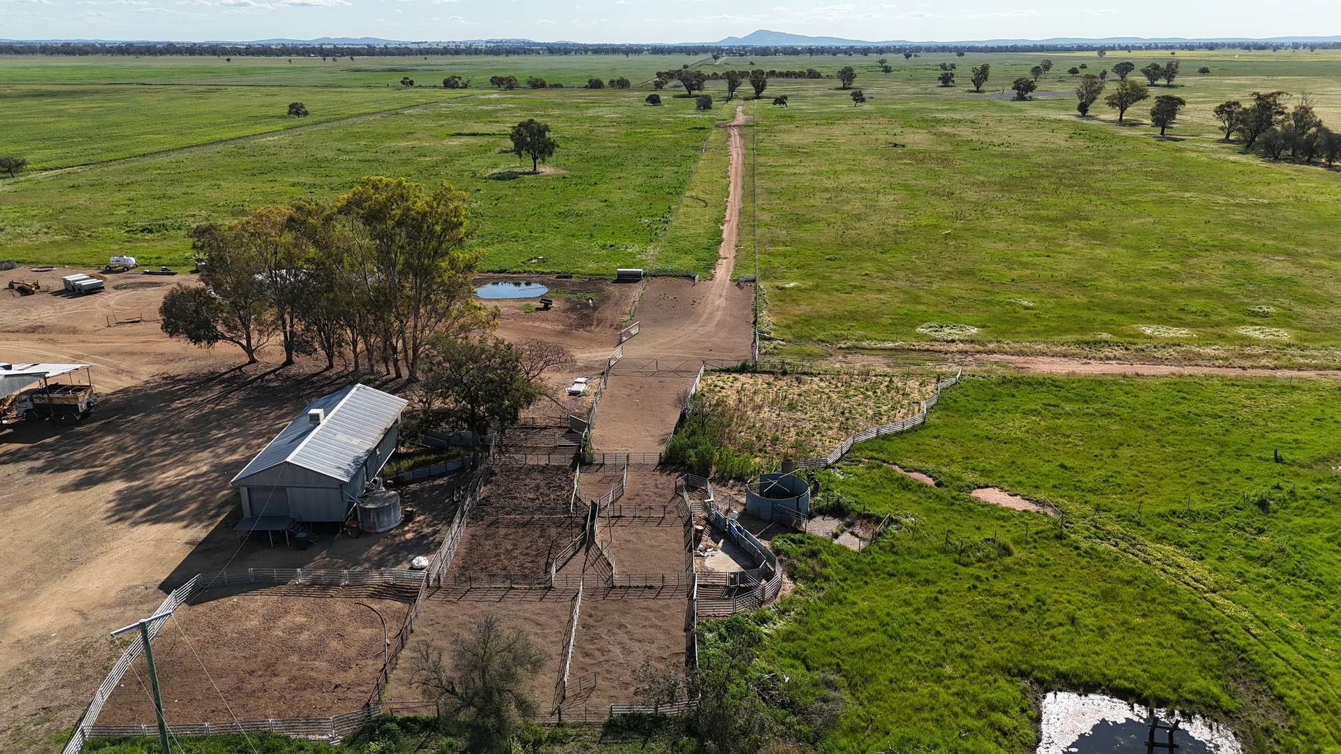 578 Shannahans Road, Forbes For Sale by Farmbuy.com - image 4