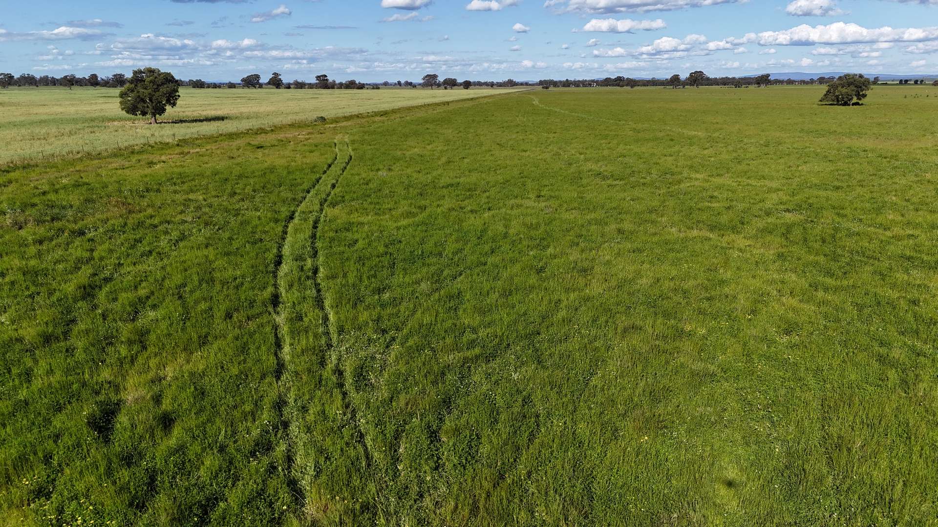 578 Shannahans Road, Forbes For Sale by Farmbuy.com - image 15