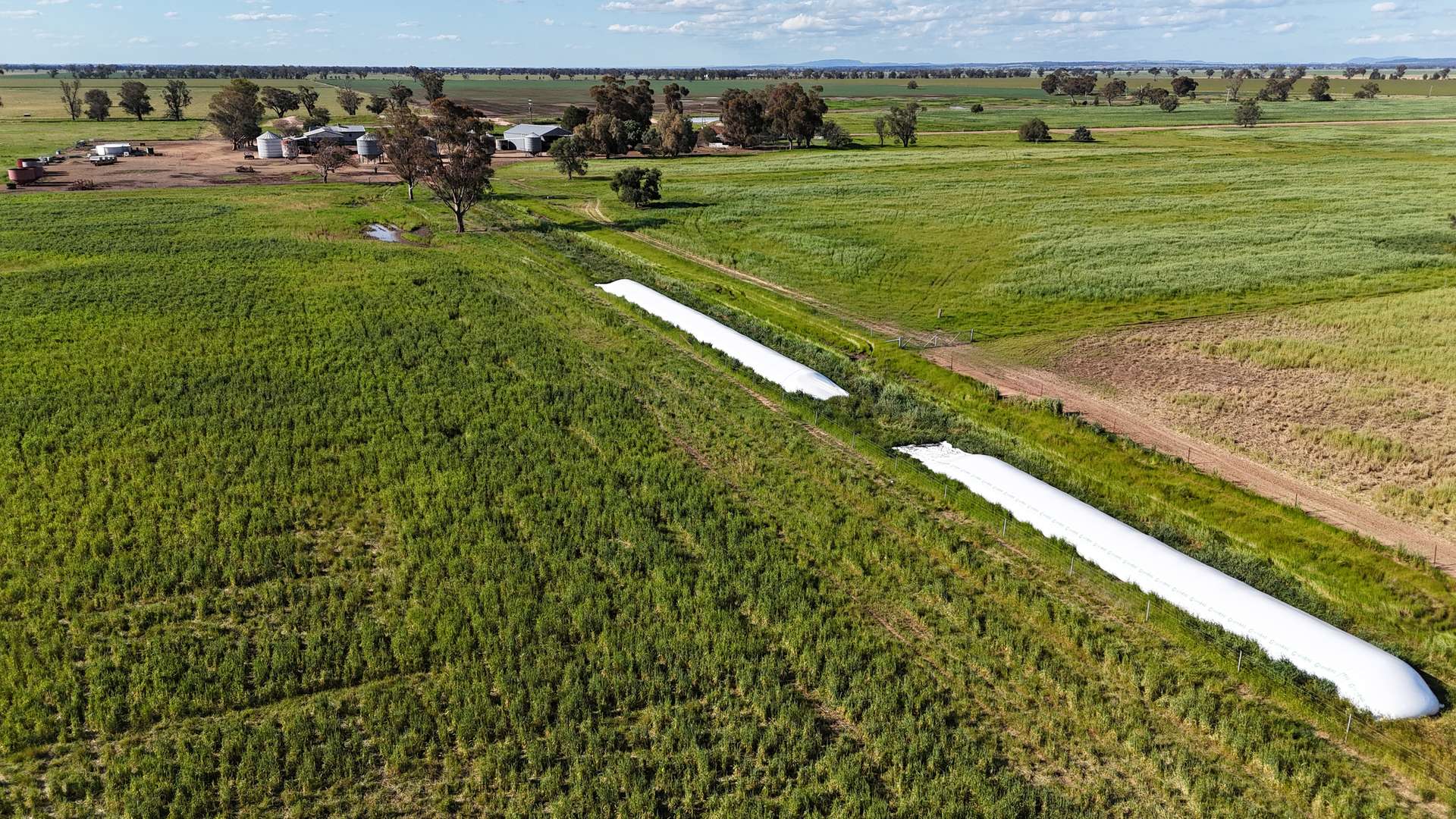 578 Shannahans Road, Forbes For Sale by Farmbuy.com - image 13