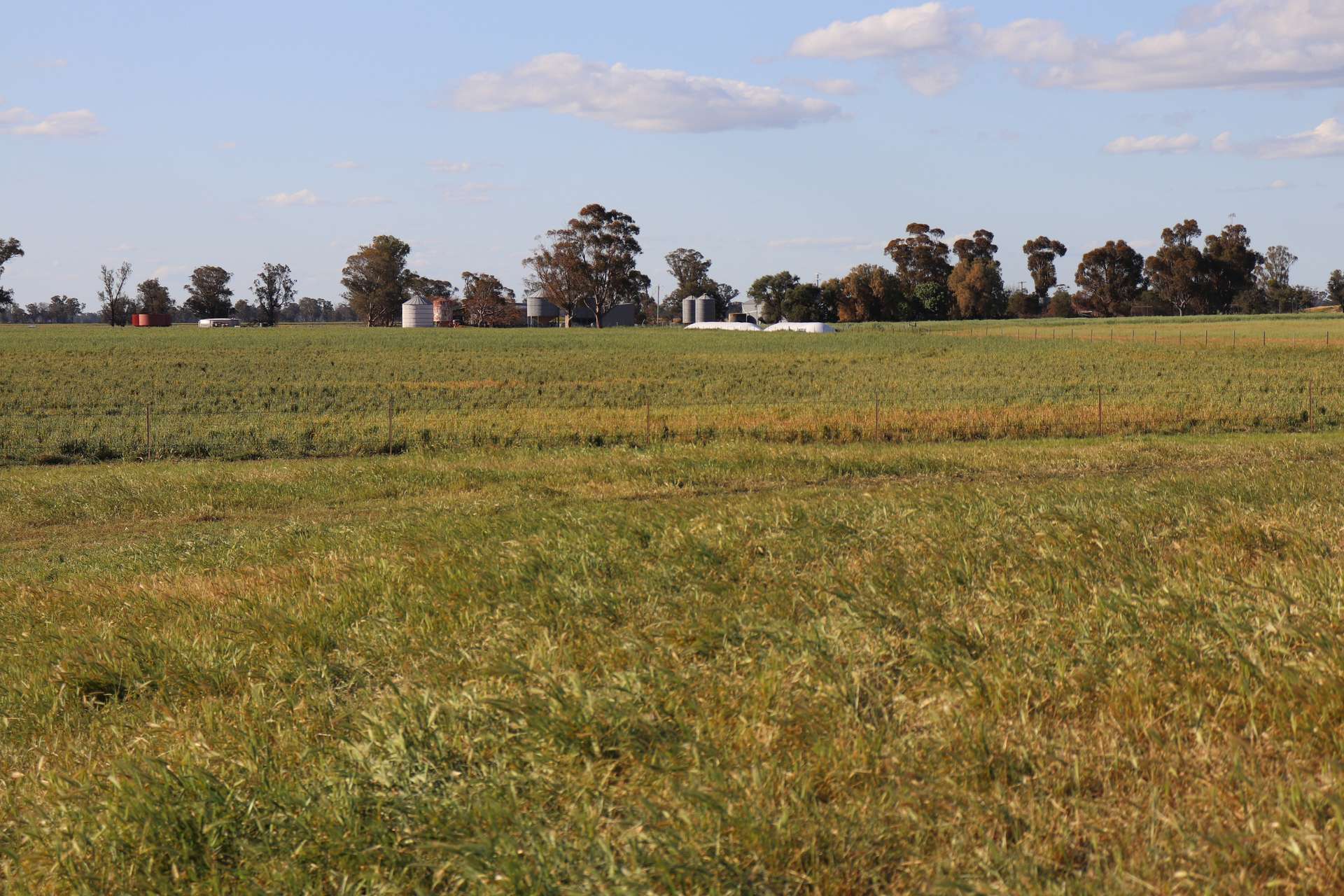 578 Shannahans Road, Forbes For Sale by Farmbuy.com - image 3