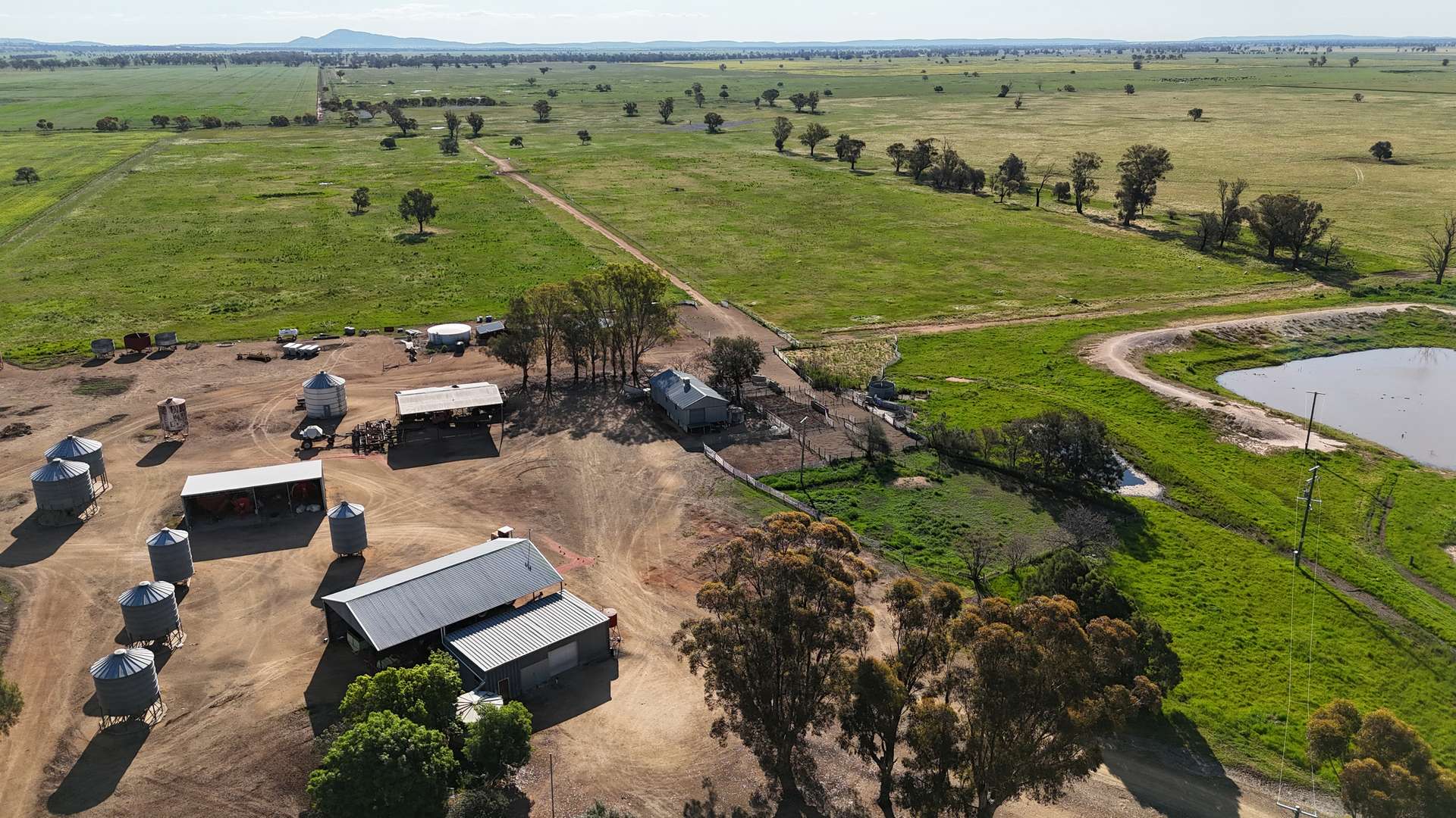 578 Shannahans Road, Forbes For Sale by Farmbuy.com - image 21