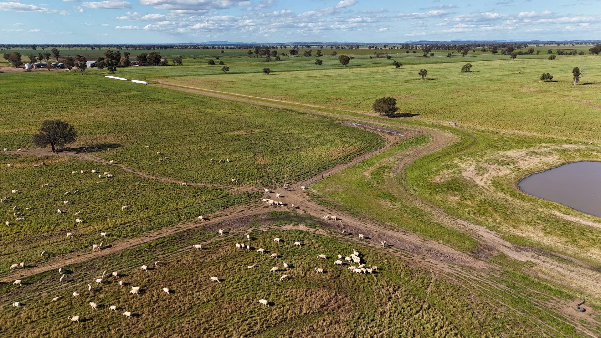 578 Shannahans Road, Forbes For Sale by Farmbuy.com - image 17