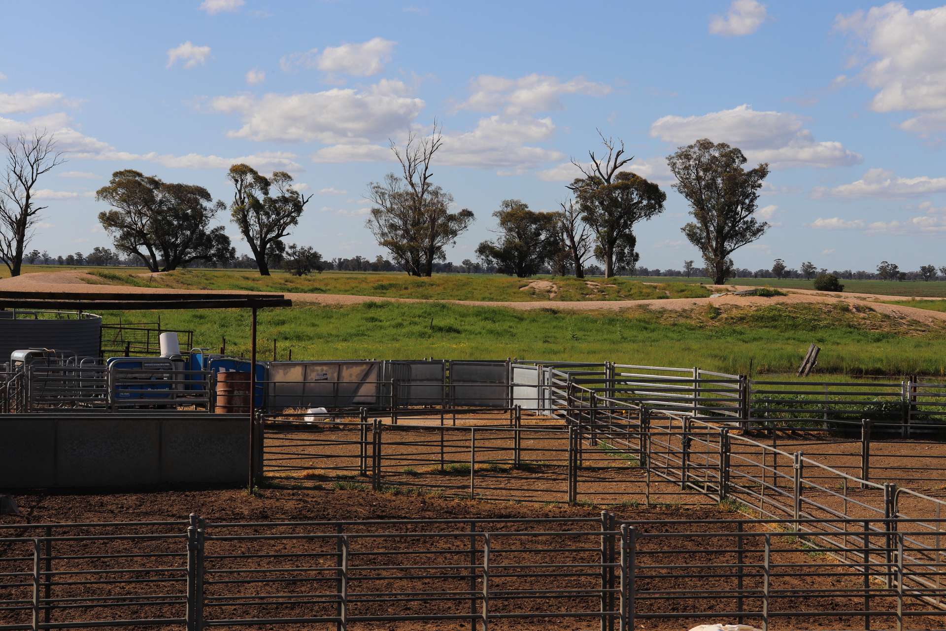 578 Shannahans Road, Forbes For Sale by Farmbuy.com - image 34