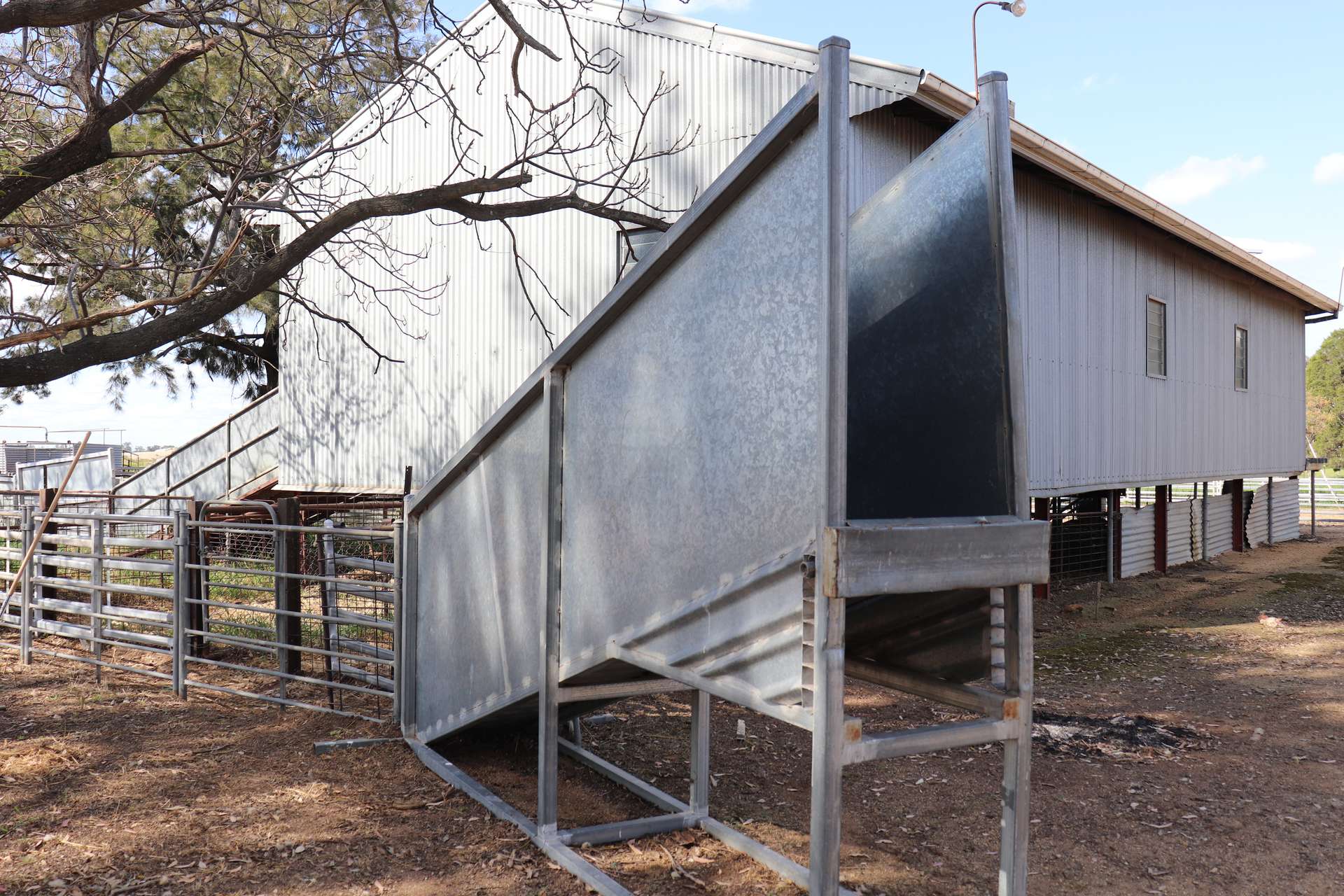 578 Shannahans Road, Forbes For Sale by Farmbuy.com - image 5