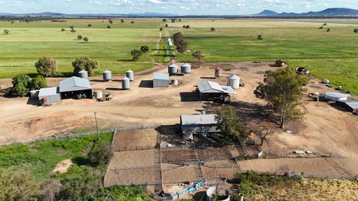 578 Shannahans Road, Forbes NSW 2871